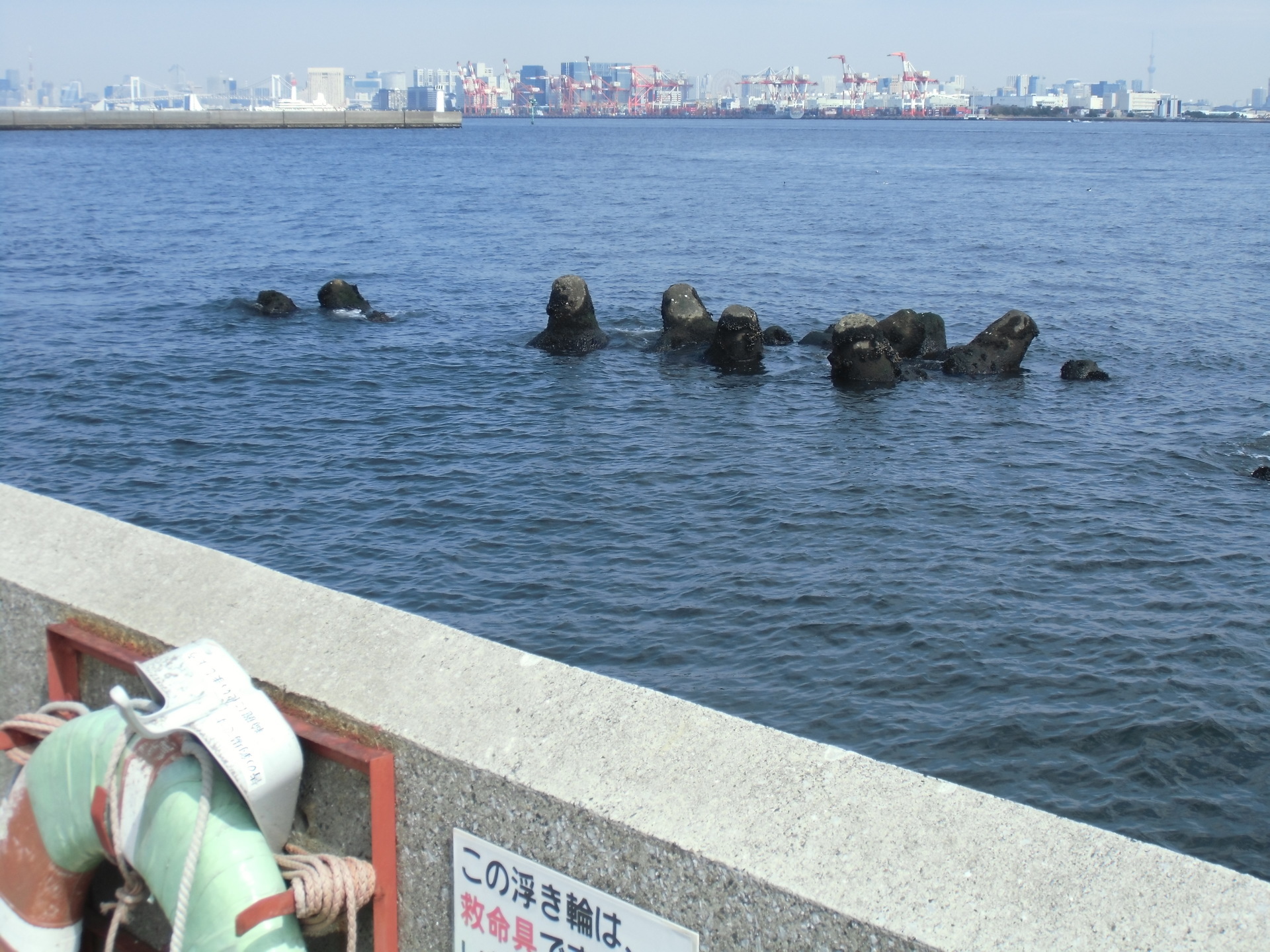 城南島の岩礁帯 湾奥ボウズjunk